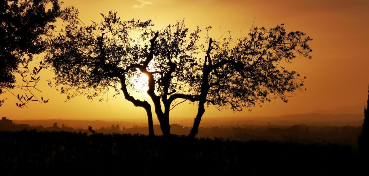 Agriturismo Cascina Cipressa San Romano  المظهر الخارجي الصورة