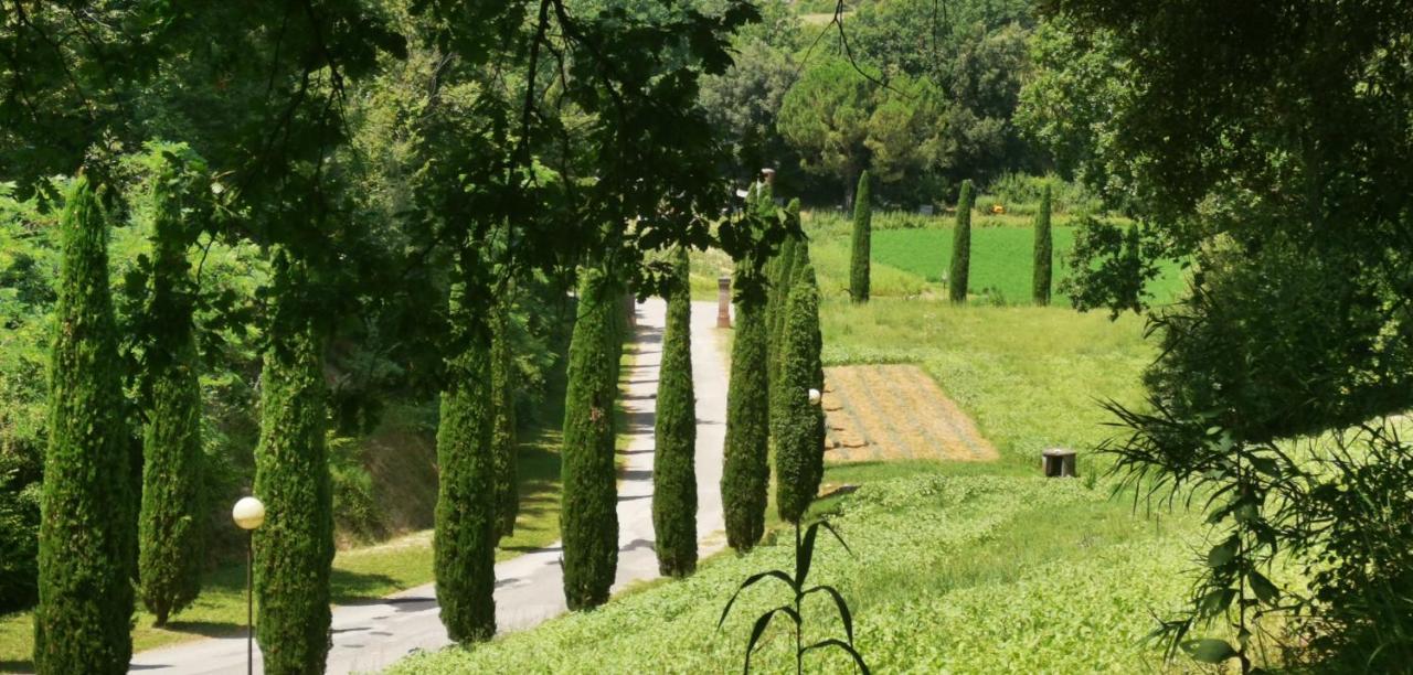 Agriturismo Cascina Cipressa San Romano  المظهر الخارجي الصورة