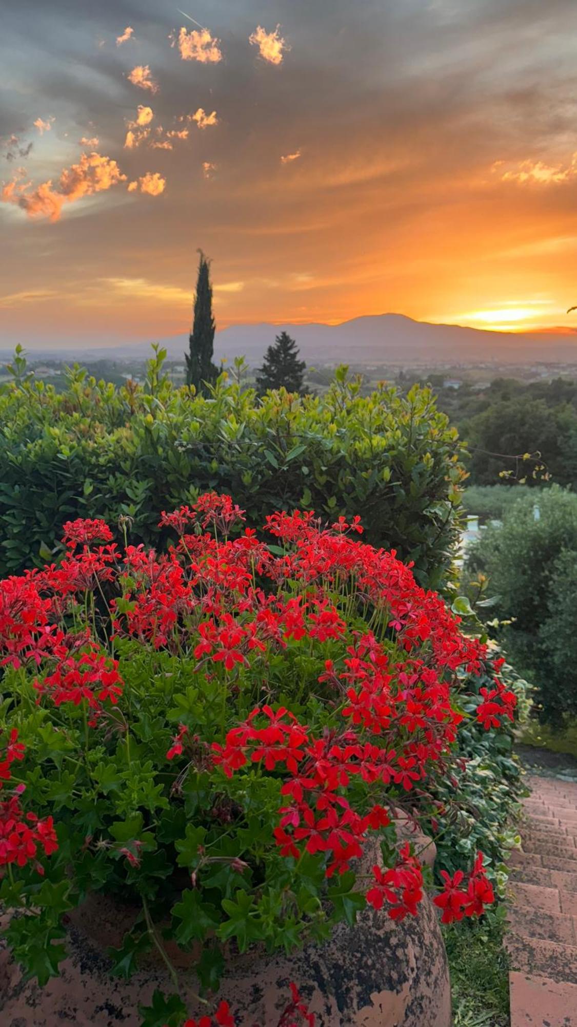 Agriturismo Cascina Cipressa San Romano  المظهر الخارجي الصورة