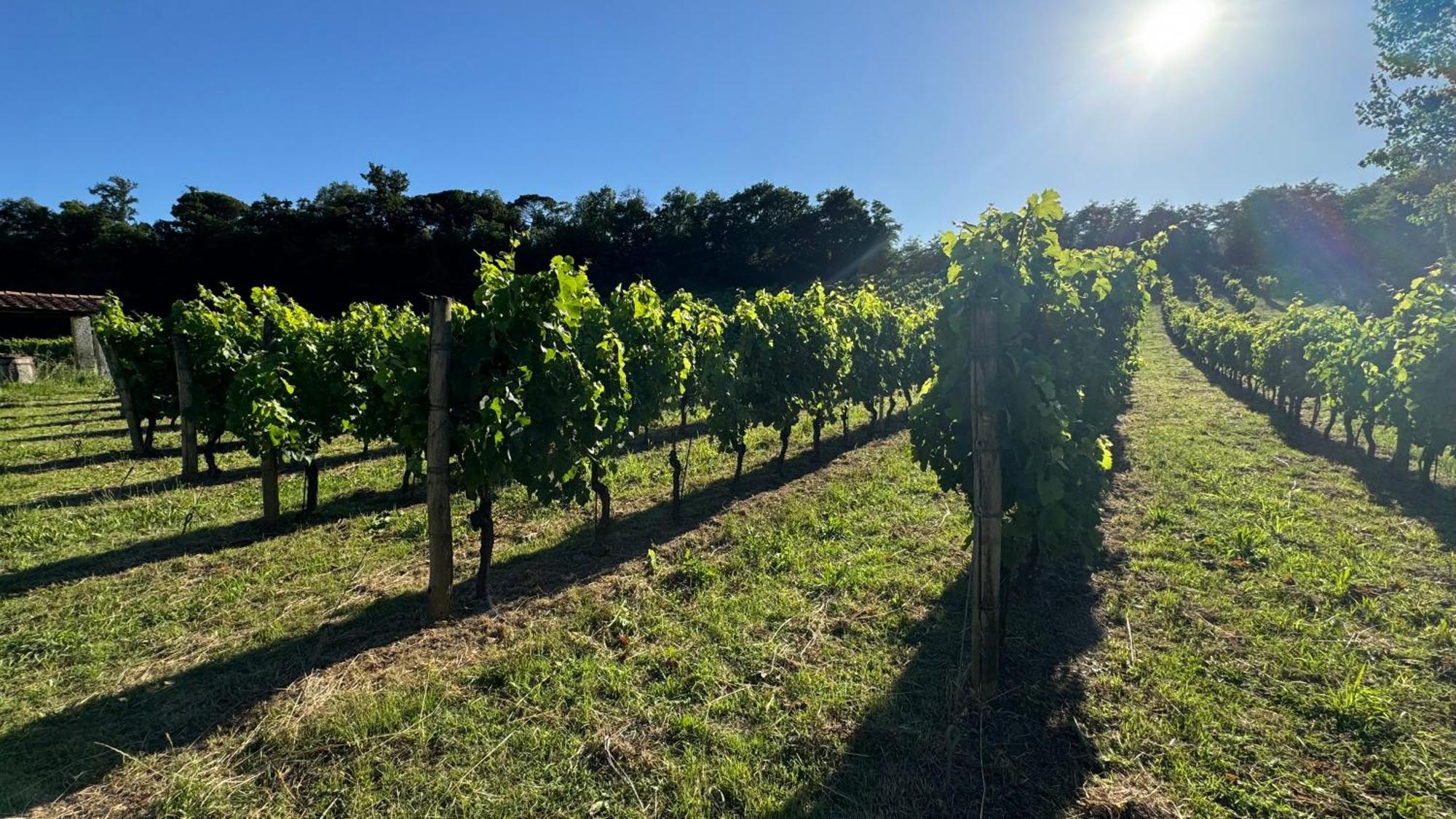 Agriturismo Cascina Cipressa San Romano  المظهر الخارجي الصورة